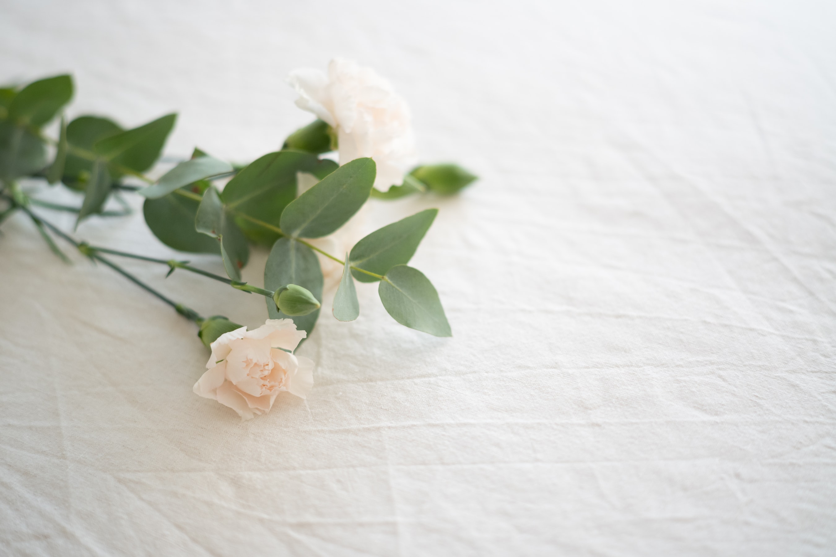How To Arrange A Funeral Wake Or Reception In Singapore: A 6 Step Guide